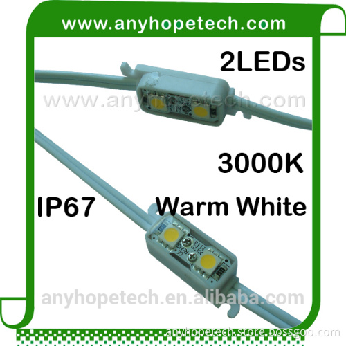 Warm White single color 2LEDs led module ip67